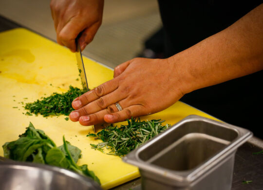 BOULDER, CO - MARCH 22, 2016:  Chefs prepare fresh ingredients during a Food Forward event at the University of Colorado Boulder campus. The HSUS program teaches plant-based cooking techniques to campus chefs and other food & dining professionals, with the ultimate goal of incorporating more plant-based meal options into schools and other institutions. Photo by Lance Murphey for HSUS