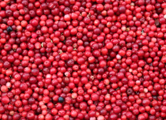 Cranberries