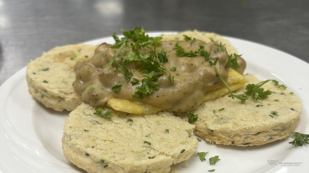 Biscuits & gravy