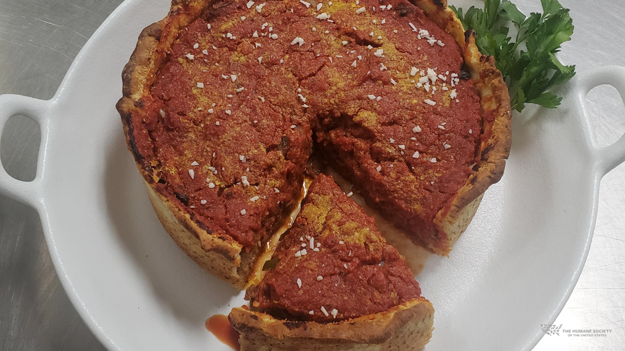 Chicago deep dish pizza