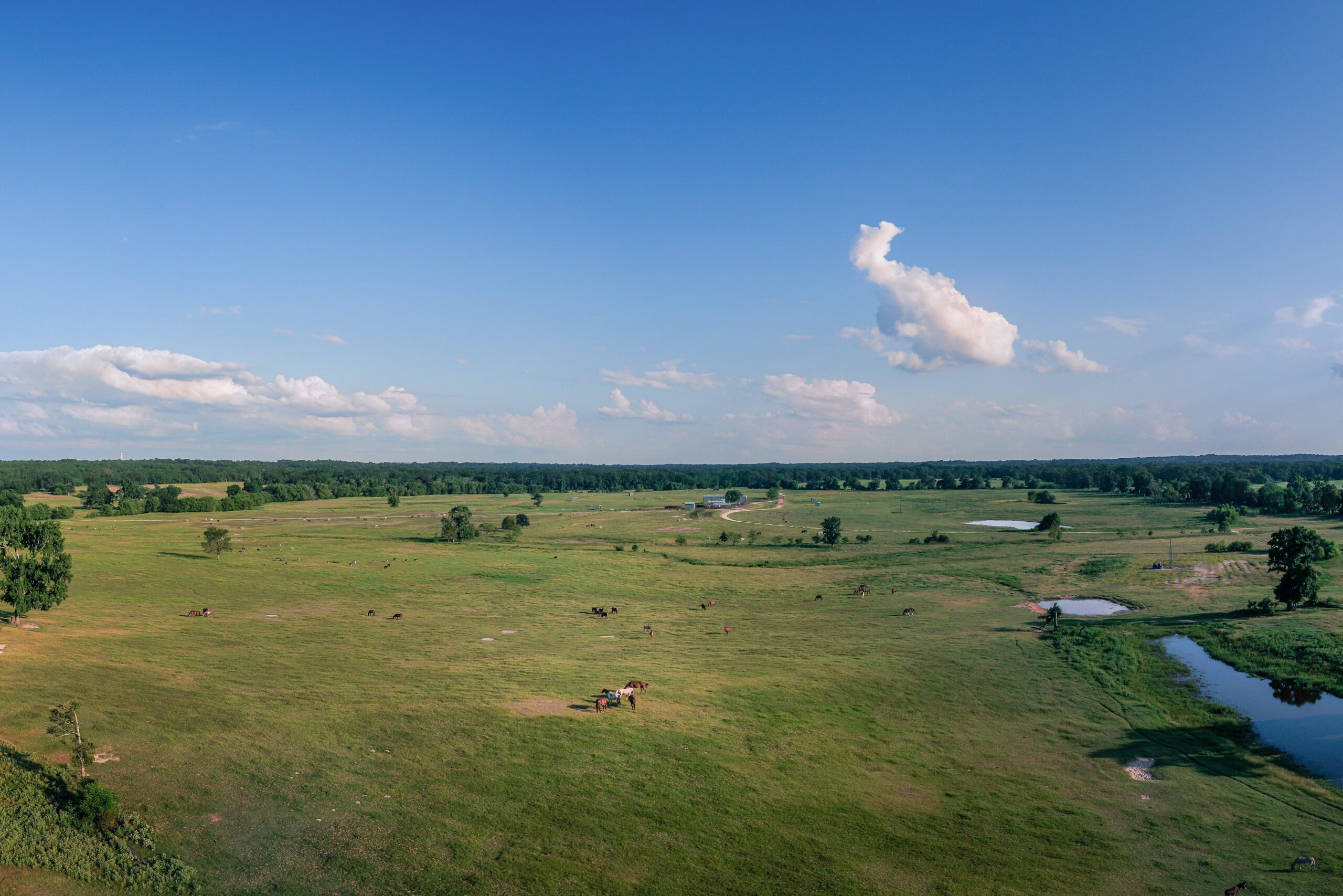 Large field