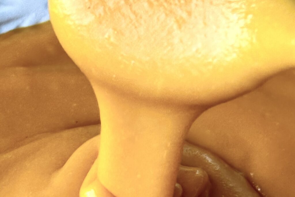 Nacho cheese